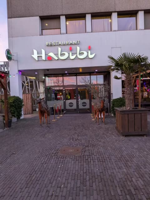 Habibi — foto 3